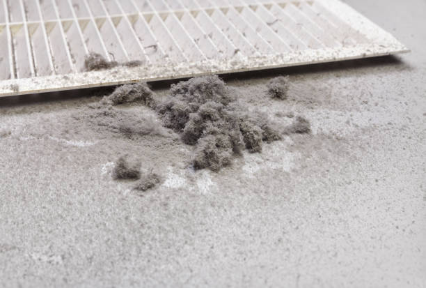 Best Home Air Vent Cleaning  in Brookings, OR